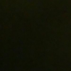 Meet your Posher, Jacqueline